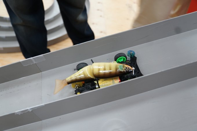 36698069241_3fd2263d65_k